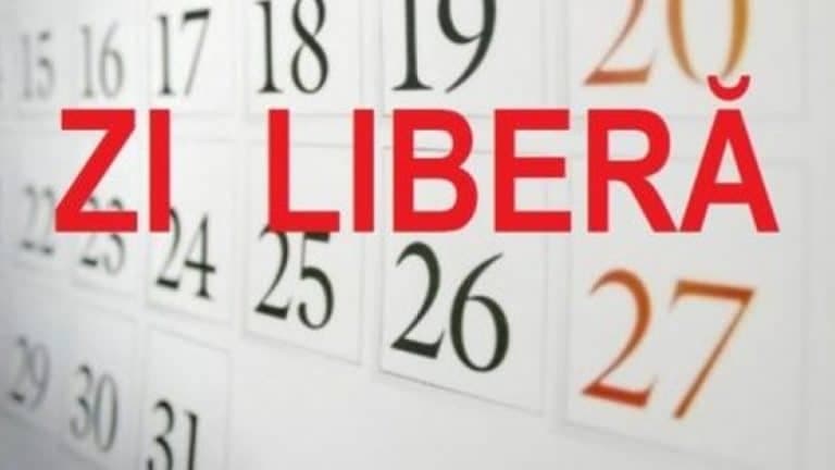 Inca o zi libera